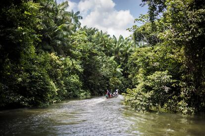 cop16 en colombia