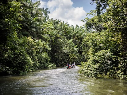 Una embarcación navega entre la selva, en el Chocó (Colombia).