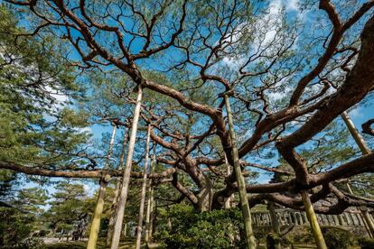 Kenrokuen forma, junto con Korakuen (en Okayama) y Kairakuen (en Mito), la terna de jardines más bellos de Japón, según los propios nipones. Su nombre significa <a href="http://www.pref.ishikawa.jp/siro-niwa/kenrokuen/e/index.html" target="">Jardín de los Seis Atributos</a>, y hace referencia a que este espacio verde combina y aúna los seis elementos del jardín perfecto, según dejó escrito el famoso poeta chino Li Gefei en su libro de jardinería: espacio, calma y serenidad, elementos artificiales y antiguos, agua abundante, amplias vistas. Alberga la casa de té Yugao-tei, la casa de descanso Shigure-tei, el puente Ganko-bashi, los majestuosos pinos Karasaki o la fuente más antigua del país. En 1985 fue declarado Sitio Nacional de Belleza Escénica Especial.