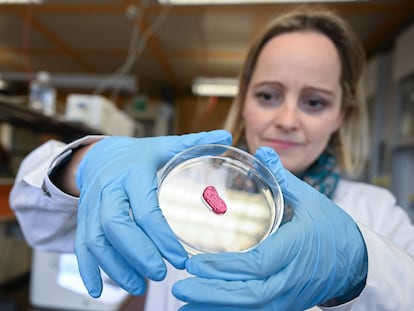 Una investigadora sostiene un trozo de carne artificial, el 7 de abril de 2022 en Reutlingen, Alemania.