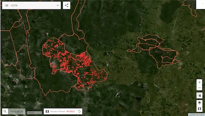 Alertas em Triunfo do Xingu (PA), a unidade de conservação com maior área de desmatamento detectado em 2020.