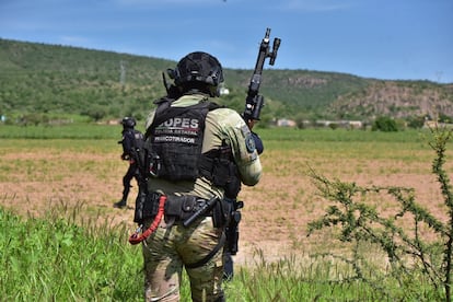 Elemento da operação em Rincón de Romos, Aguascalientes, em 26 de julho de 2025.