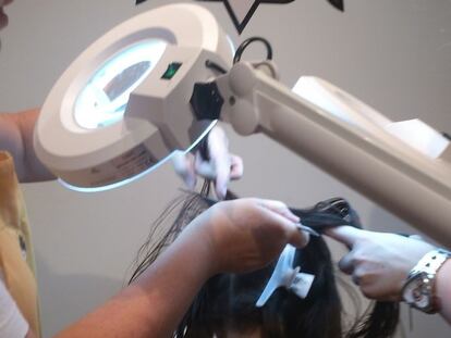 Plantarle cara al piojo, otra vez