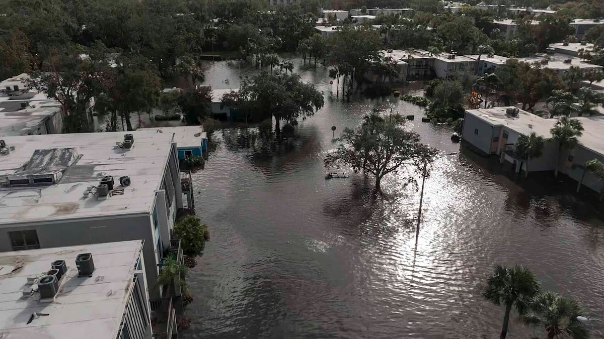 Florida avoids catastrophe | EL PAÍS US