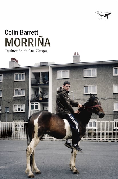 Portada de 'Morriña', de Colin Barrett. EDITORIAL SAJALIN