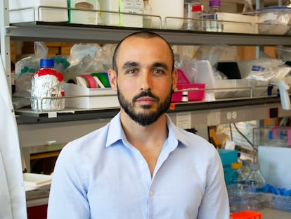 El bioquímico Miguel Reina, en su laboratorio de la Universidad de California, en San Diego (EE UU).