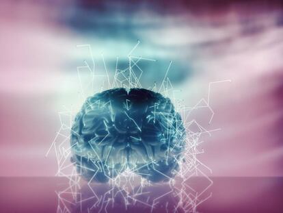 Human Brain Project: un cerebro de ecuaciones