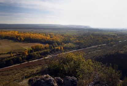 La estela de chopos en estado otoñal marcan el momento en que el Rio Lozoya se une al Rio Jarama en Patones