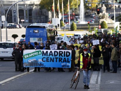 Algunos de los manifestantes llevaban mascarilla.