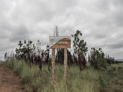 Plantaciones de Green Resources cerca del pueblo de Nconda que han sido objeto de ataques e incendios provocados. La señal de Green Resources ha sido destrozada. La base está cortada a machetazos y el logotipo de la empresa, arrancado y tirado en el barro.