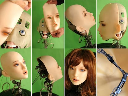 La DS Doll Robotic Head, una cabeza rob&amp;oacute;tica creada por EX Dolls y Dolls Sweet Dolls.