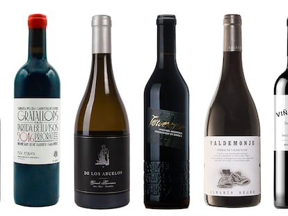 Ocho grandes vinos de viticultura heroica