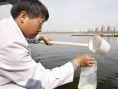 Un investigador toma una muestra de agua en Seúl, Corea del Sur, para realizar un control de radiactividad.