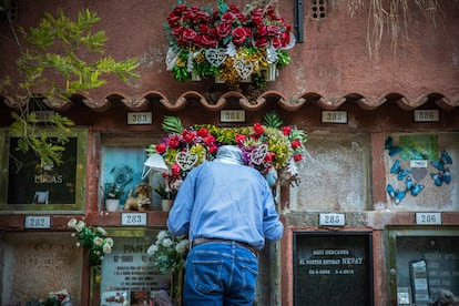 cementerio animales barcelona