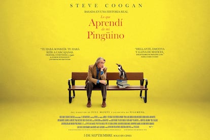 Cartel de 'Lo que aprendí de mi pingüino', una película de Peter Cattaneo.