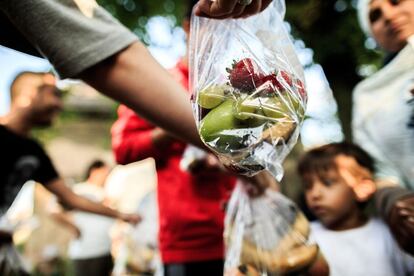 Unos voluntarios ofrecen alimentos a los refugiados que esperan recibir asilo en Dresde, Alemania.