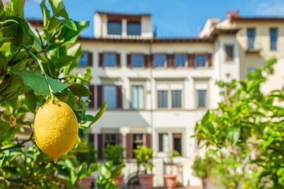 Una vista del palacio Villoresi desde el jardín.
