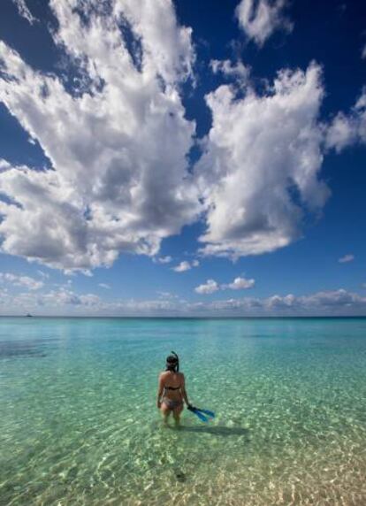 Una playa en Cozumel (México).