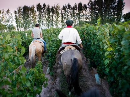 Come, duerme, cabalga (sin Julia Roberts)