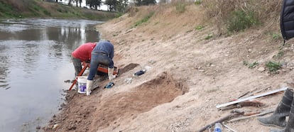 Investigadores buscan restos de un gliptodonte.