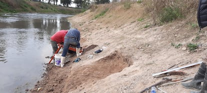 Researchers are searching for remains of a glyptodont.