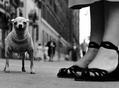 <i>Ciudad de Nueva York, Estados Unidos</i> (1946), de Elliott Erwitt.