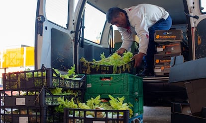 Son 130 entidades sociales las que reciben donaciones –de martes a sábado– en función del número de beneficiarios con los que cuentan. Se entregan frutas, hortalizas, carnes y pescados congelados, conservas y comida envasada.  