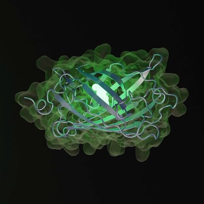 Representación de una nueva proteína fluorescente verde alejada de otras que se encuentran en la naturaleza.