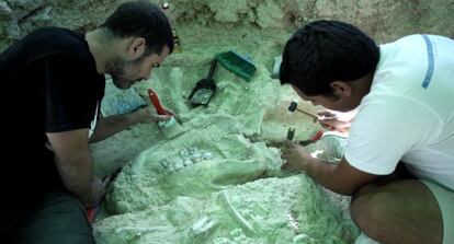 Una mand&iacute;bula de rinoc&eacute;rido asoma en el suelo en las &uacute;ltimas excavaciones.