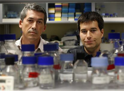 Antonio Alcamí, a la izquierda, y Alberto López-Bueno, en su laboratorio del Centro de Biología Molecular Severo Ochoa de Madrid