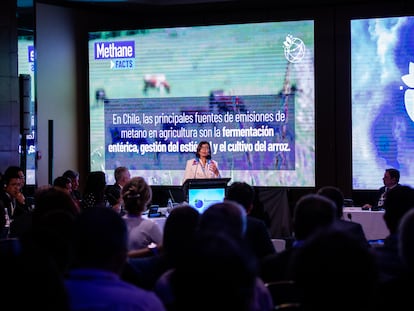 Maria Helena Semedo, subdirectora de FAO, en la Conferencia Ministerial de Sistemas Alimentarios de baja emisión, en Santiago.