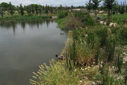 El parque de La Marjal en Alicante.