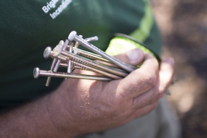 Piquetas que les sirven para hacer los pasillos con cuerdas.