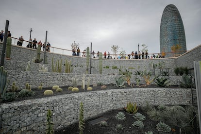 El jardí de cactus a la plaça de les Glòries de Barcelona.
