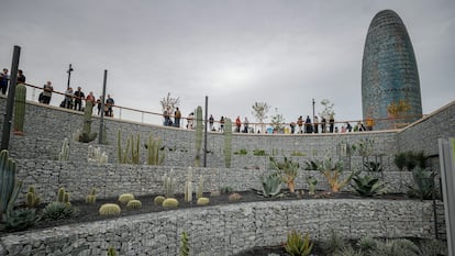 El jardí de cactus a la plaça de les Glòries de Barcelona.