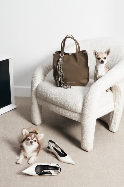 BIMBA Y LOLA CHIHUAHUA