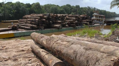 Madeira retirada da Amaz&ocirc;nia.