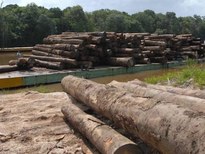 Madeira retirada da Amaz&ocirc;nia.