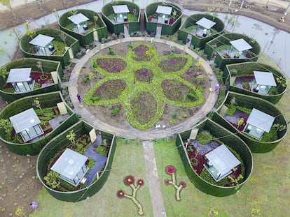 La revolución de los baños públicos chinos: el trono entre las flores