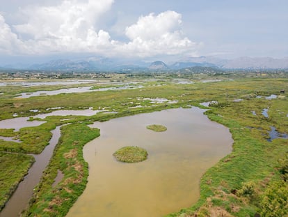 La reserva natural de S'Albufereta se extiende entre Alcúdia y Pollença (Mallorca).