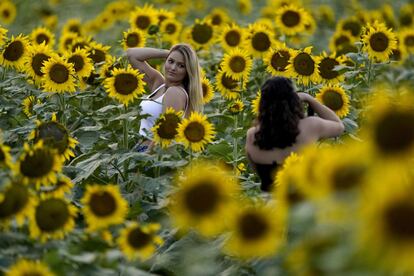 Una joven es fotografiada en un campo de girasoles cerca de Lawrence (Kansas).