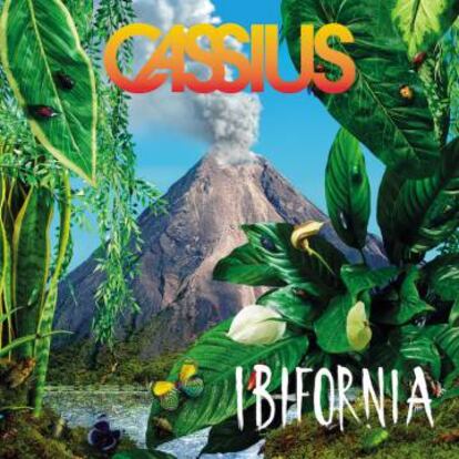 Cassius 'Ibifornia'.
