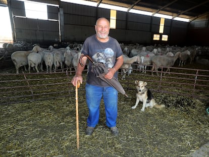 El pastor Gregorio Martínez, en la localidad zamorana de Villar de Fallaves. / R. G.