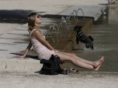 Una mujer y su perro se refrescan en una fuente en Zaragoza.