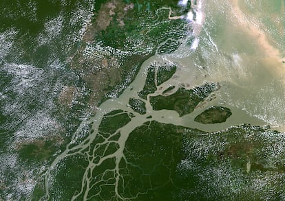 Proyecto de Brasil para extracción de petróleo en el Amazonas