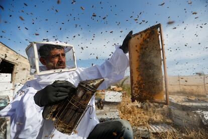 Un apicultor palestino recolecta miel en una granja en el centro de la Franja de Gaza. Israel ha revocado los permisos de entrada o de trabajo a más de 1.100 palestinos con vínculos familiares con los autores de la reciente ola de ataques en el país, una medida de castigo colectivo prohibida por la legalidad internacional.