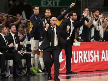 El entrenador del Real Madrid, Chus Mateo, en un partido de la Euroliga esta temporada.