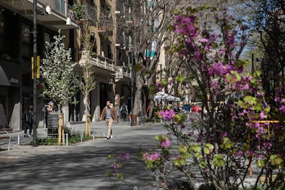 Elecciones municipales Cataluña