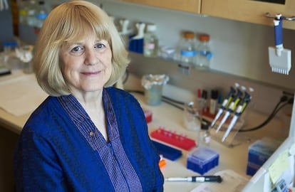 Mary-Claire King, premio Princesa de Asturias de Ciencia