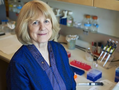 Mary-Claire King, premio Princesa de Asturias de Ciencia